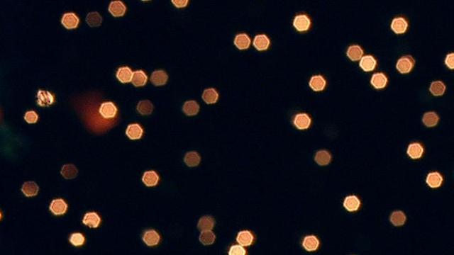 monson-christmas-devotional.jpg